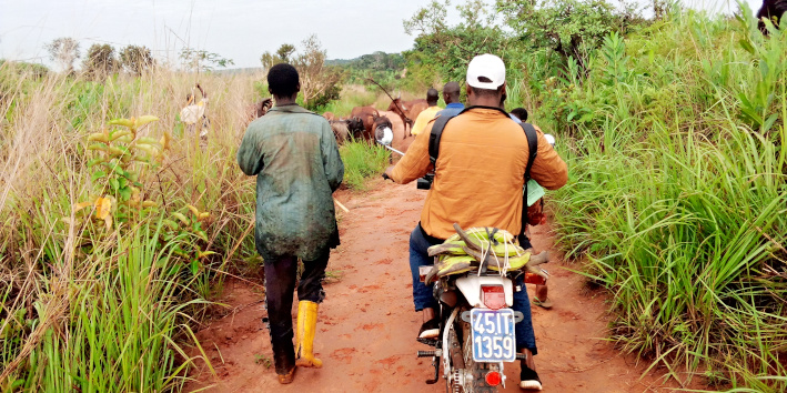 ECHO DE KABINDA 10 (Novembre 2020)