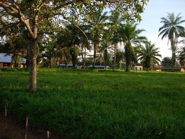 image station_de_tshudi